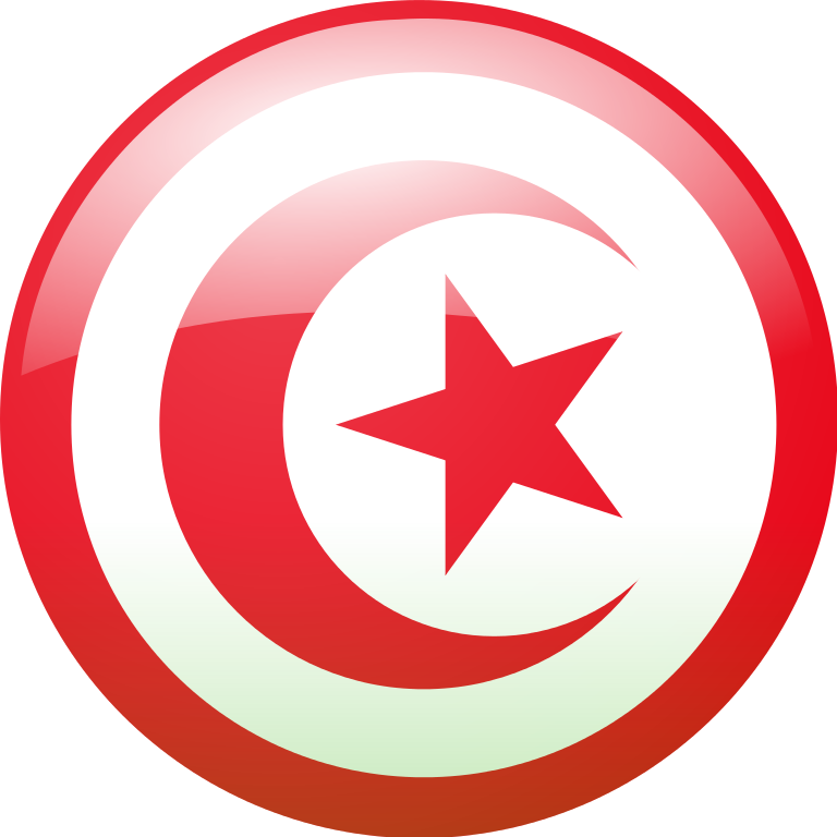 Premium IPTV Subscriptions for Tunisian Viewers